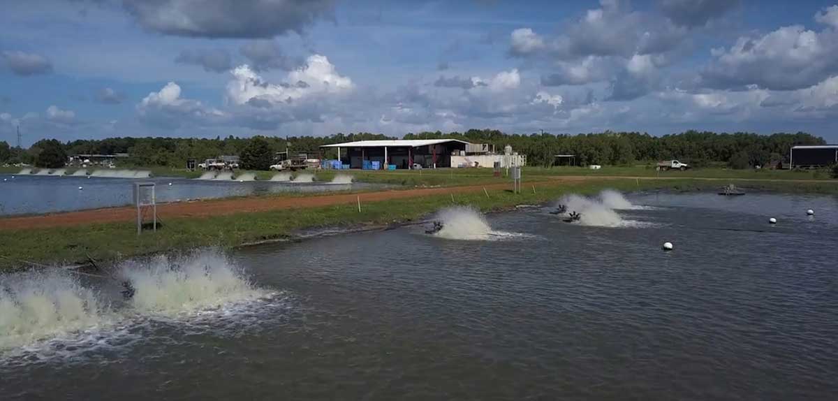 Barramundi ponds at Humpty Doo Barramundi