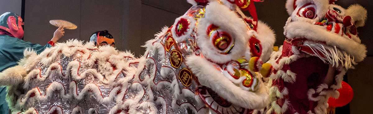 Chinese lion dance