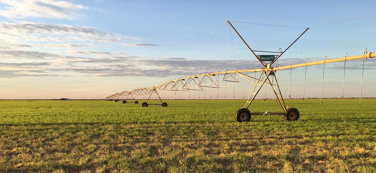 Irrigation equipment in paddock