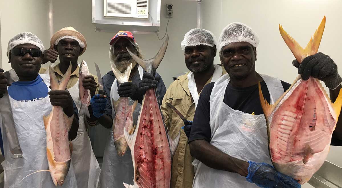 Workers of the West Arnhem fish processing facility