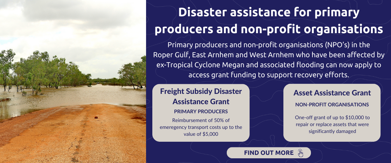 Disaster Assistance