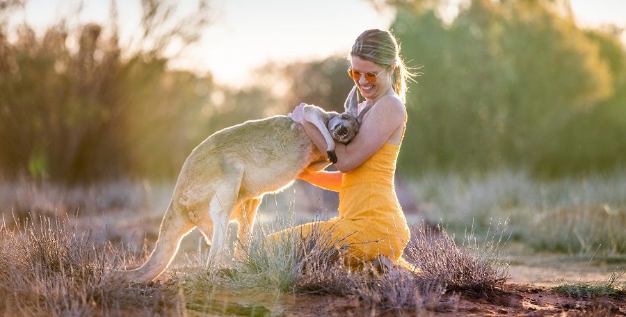 Tourism playing with wallaby