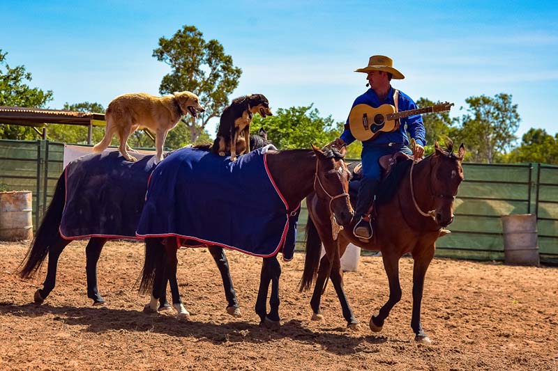 Katherine Outback Experience rewarded with Chairman&rsquo;s Choice for Tourism Excellence